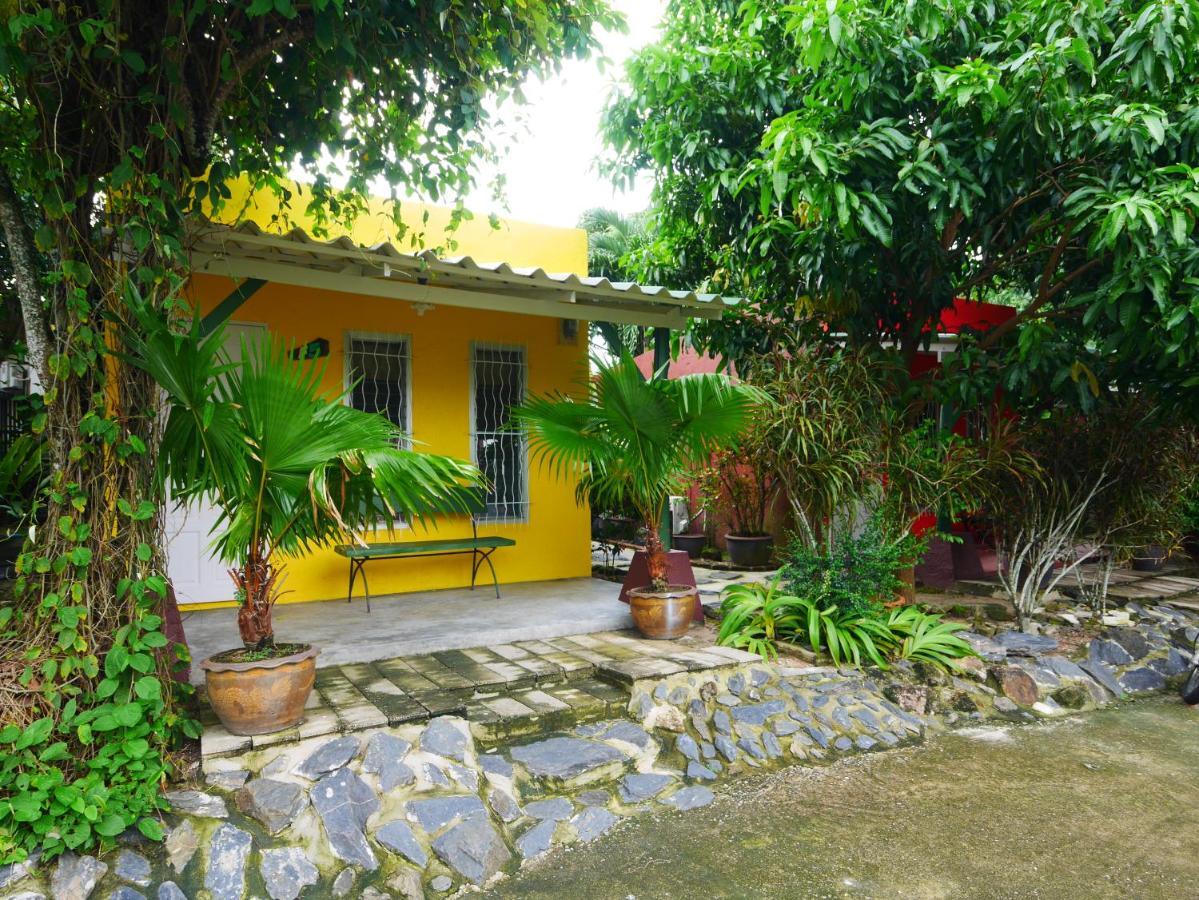 Forest Bungalows & Mama'S Restaurant Chalong Buitenkant foto